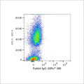 ABflo® 488 Rabbit anti-Human C5AR1/CD88 mAb (100 T)