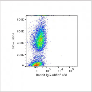 ABflo® 488 Rabbit anti-Human C5AR1/CD88 mAb (100 T)