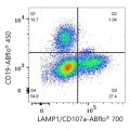 ABflo® 700 Rabbit anti-Human LAMP1/CD107a mAb (100 T)