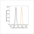 ABflo® 450 Rabbit anti-Human E-Cadherin/CD324 mAb (100 T)