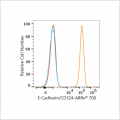 ABflo® 700 Rabbit anti-Human E-Cadherin/CD324 mAb (100 T)