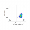 PE Rabbit anti-Human CD66a/CEACAM1 mAb (100 T)