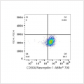 ABflo® 700 Rabbit anti-Human CD304/Neuropilin-1 mAb (100 T)