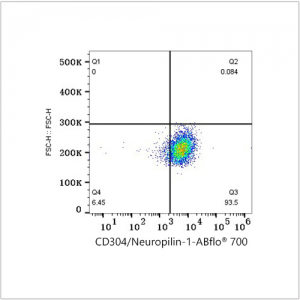 ABflo® 700 Rabbit anti-Human CD304/Neuropilin-1 mAb (100 T)