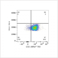ABflo® 700 Rabbit anti-Mouse CD2 mAb (100 T)
