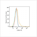 PE Rabbit anti-Human CD8b mAb (100 T)