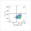 ABflo® 700 Rabbit anti-Mouse CD5 mAb (100 T)