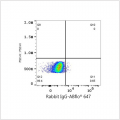 ABflo® 647 Rabbit anti-Human MRC2 mAb (100 T)