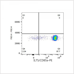 PE Rabbit anti-Human ILT5/CD85a mAb (100 T)