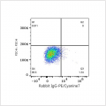 PE/Cyanine7 Rabbit anti-Human CD45RA mAb (100 T)