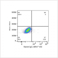 ABflo® 450 Rabbit anti-Human CD80/B7-1 mAb (100 T)