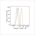 ABflo® 700 Rabbit anti-Human CD80/B7-1 mAb (100 T)