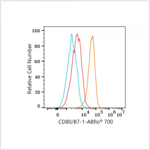 ABflo® 700 Rabbit anti-Human CD80/B7-1 mAb (100 T)