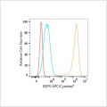 APC/Cyanine7 Rabbit anti-Human EGFR mAb (100 T)