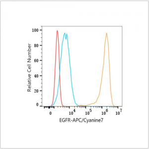 APC/Cyanine7 Rabbit anti-Human EGFR mAb (100 T)