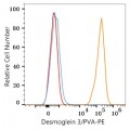 PE Rabbit anti-Human Desmoglein 3/PVA mAb (100 T)