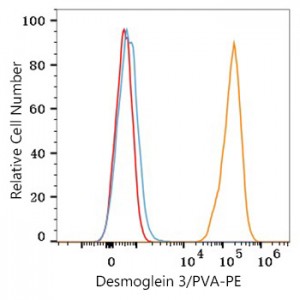 PE Rabbit anti-Human Desmoglein 3/PVA mAb (100 T)