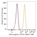 ABflo® 488 Rabbit anti-Human Desmoglein 3/PVA mAb (100 T)