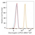ABflo® 647 Rabbit anti-Human Desmoglein 3/PVA mAb (100 T)