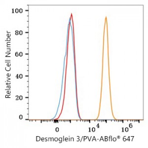 ABflo® 647 Rabbit anti-Human Desmoglein 3/PVA mAb (100 T)