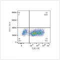 PE Rabbit anti-Human TLR3 mAb (100 T)