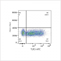 APC Rabbit anti-Human TLR3 mAb (100 T)