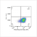 APC Rabbit anti-Human/Mouse PDGFRα/CD140a mAb (100 T)