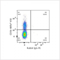 PE Rabbit anti-Human CD335/NKp46 mAb (100 T)