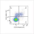 APC Rabbit anti-Human CD335/NKp46 mAb (100 T)