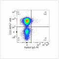 PE Rabbit anti-Human CD101/IGSF2 mAb (100 T)