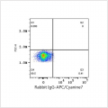 APC/Cyanine7 Rabbit anti-Human CD45 mAb (100 T)