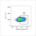 PE Rabbit anti-Human CD62E/E-Selectin mAb (100 T)