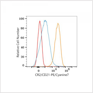 PE/Cyanine7 Rabbit anti-Human CR2/CD21 mAb (100 T)