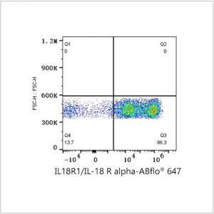 ABflo® 647 Rabbit anti-Human IL18R1/IL-18 R alpha mAb (100 T)
