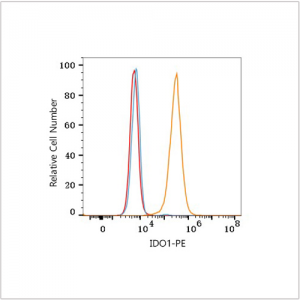PE Rabbit anti-Human IDO1 mAb (100 T)