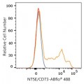 ABflo® 488 Rabbit anti-Human NT5E/CD73 mAb (100 T)