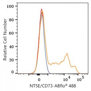 ABflo® 488 Rabbit anti-Human NT5E/CD73 mAb (100 T)