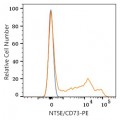 PE Rabbit anti-Human NT5E/CD73 mAb (100 T)