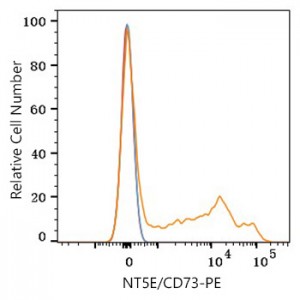 PE Rabbit anti-Human NT5E/CD73 mAb (100 T)
