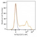 APC Rabbit anti-Human NT5E/CD73 mAb (100 T)