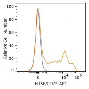 APC Rabbit anti-Human NT5E/CD73 mAb (100 T)
