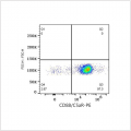 PE Rabbit anti-Mouse CD88/C5aR mAb (100 T)