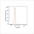 PE Rabbit anti-Human CaSR mAb (100 T)