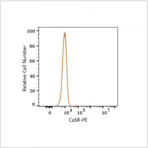 PE Rabbit anti-Human CaSR mAb (100 T)