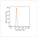 ABflo® 488 Rabbit anti-Human CaSR mAb (100 T)