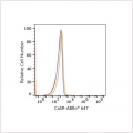 ABflo® 647 Rabbit anti-Human CaSR mAb (100 T)