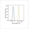 ABflo® 647 Rabbit anti-Human GSK3β mAb (100 T)