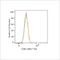 ABflo® 500 Rabbit anti-Human/Monkey CD8a mAb (100 T)
