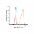 ABflo® 700 Rabbit anti-Human Ki67 mAb (100 T)