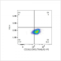 PE Rabbit anti-Human CD262/DR5/TRAILR2 mAb (100 T)